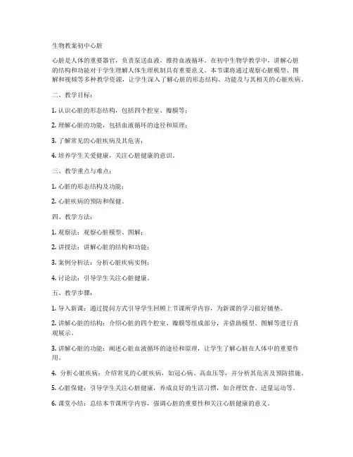 生物教案初中心脏