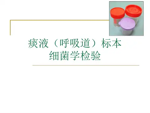 痰液(呼吸道)标本细菌学检验.ppt