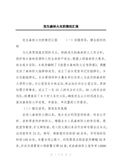 发生森林火灾的情况汇报