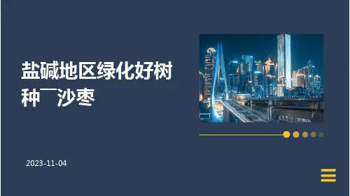 盐碱地区绿化好树种――沙枣