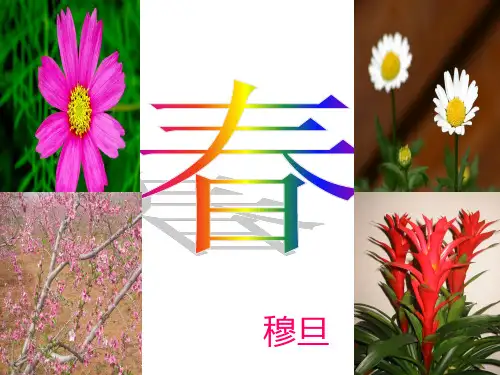 人教版《中国现代诗歌散文欣赏》选修《春》PPT课件