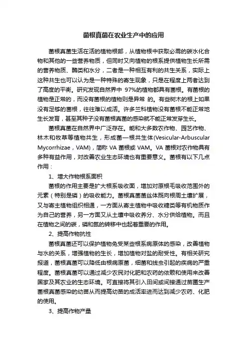 菌根真菌在农业生产中的应用