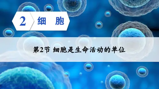 2024年秋北师大七年级生物上册 第2节 细胞是生命活动的单位(课件)