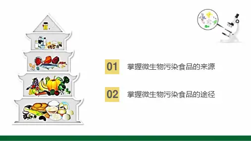 微生物引起的食品污染与腐败变质
