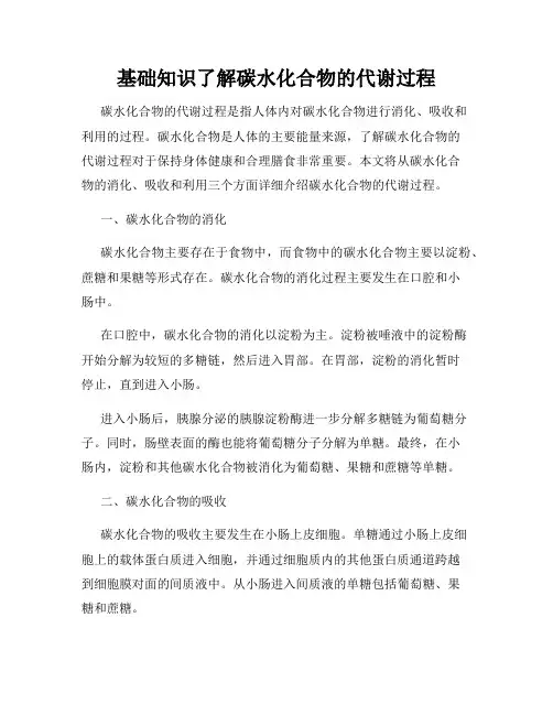 基础知识了解碳水化合物的代谢过程