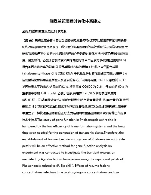 蝴蝶兰花瓣瞬时转化体系建立
