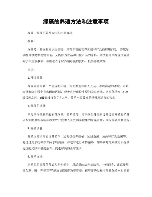绿藻的养殖方法和注意事项