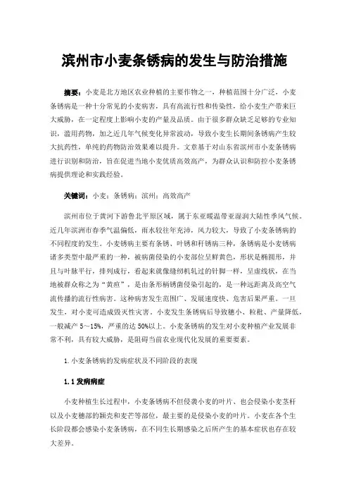 滨州市小麦条锈病的发生与防治措施