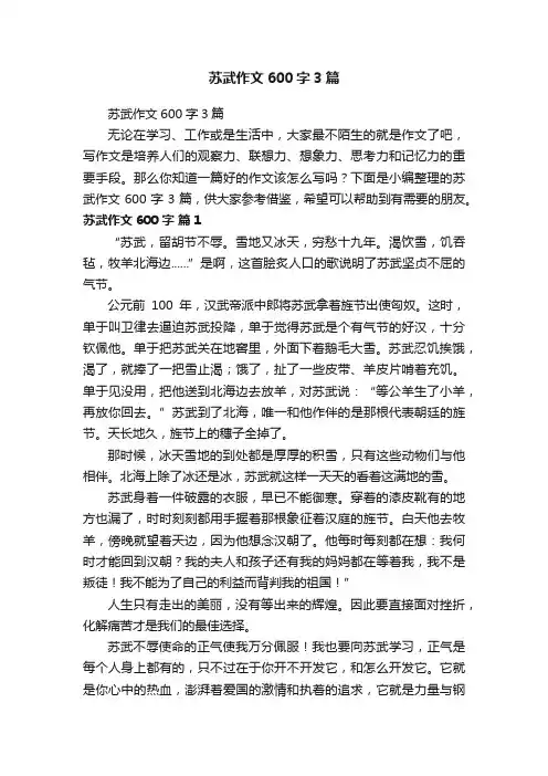 苏武作文600字3篇