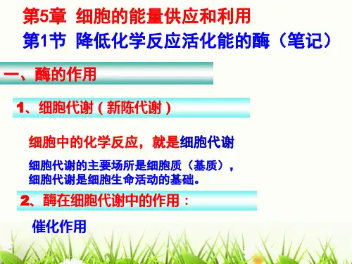 第5章第1节_降低化学反应活化能的酶(笔记)