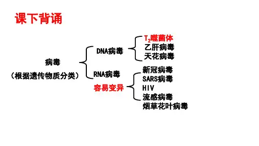 遗传信息的携带者教学课件—【精品课件】