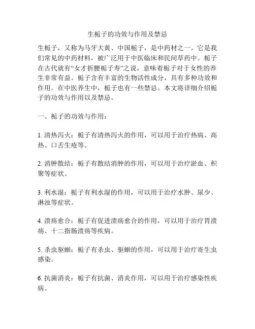 生栀子的功效与作用及禁忌