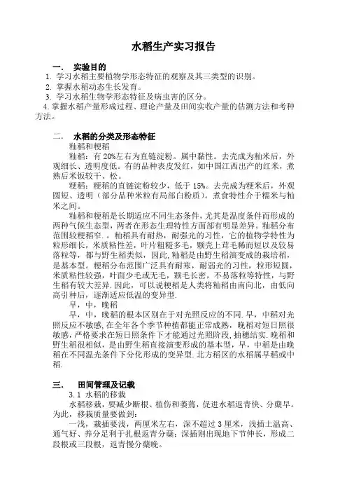 水稻生产实习报告