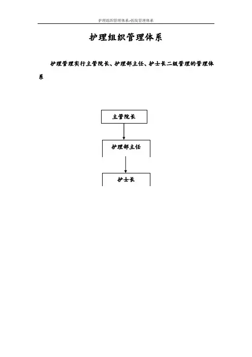 护理组织管理体系.-医院管理体系