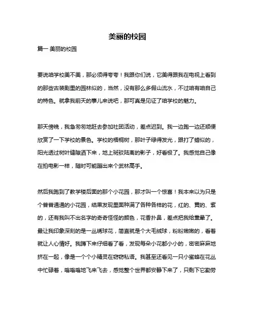 作文《美丽的校园》