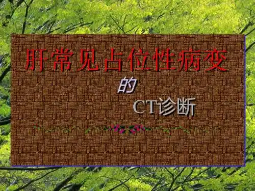 肝常见占位性病变的CT诊断