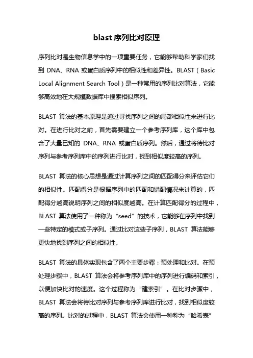 blast序列比对原理