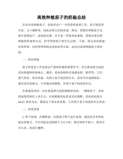 高效种植茄子的经验总结