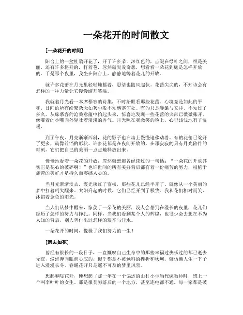 一朵花开的时间散文