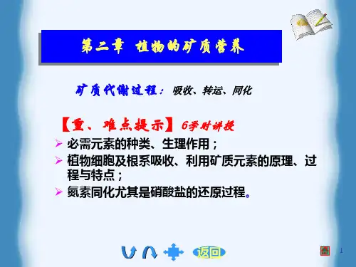 植物矿质营养PPT课件