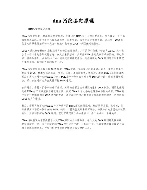 dna指纹鉴定原理