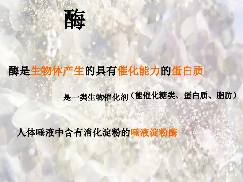 唾液淀粉酶的催化作用PPT精品课件