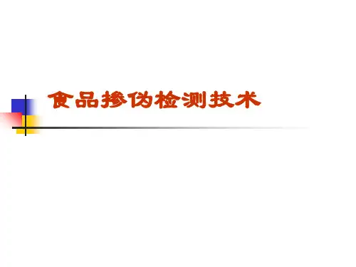 食品掺伪检测技术 ppt课件