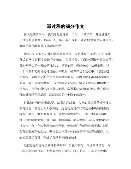 写过程的满分作文