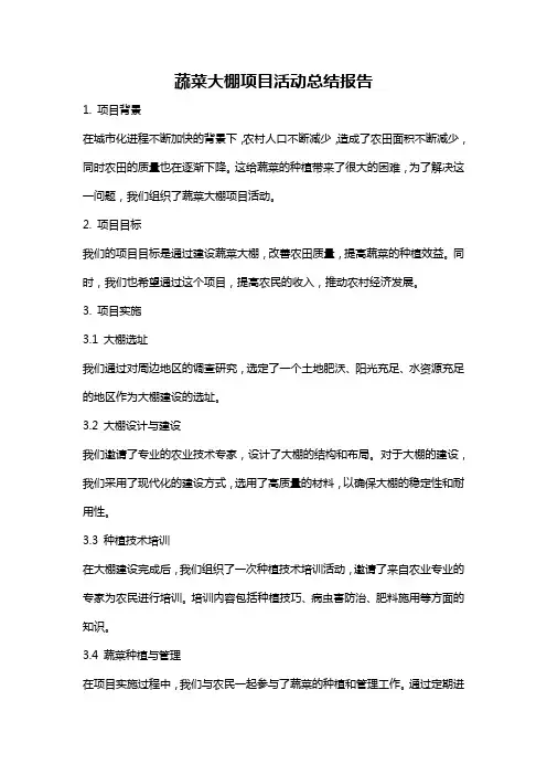 蔬菜大棚项目活动总结报告
