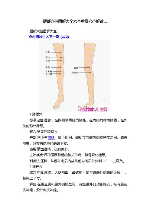 腿部穴位图解大全六个重要穴位解读...