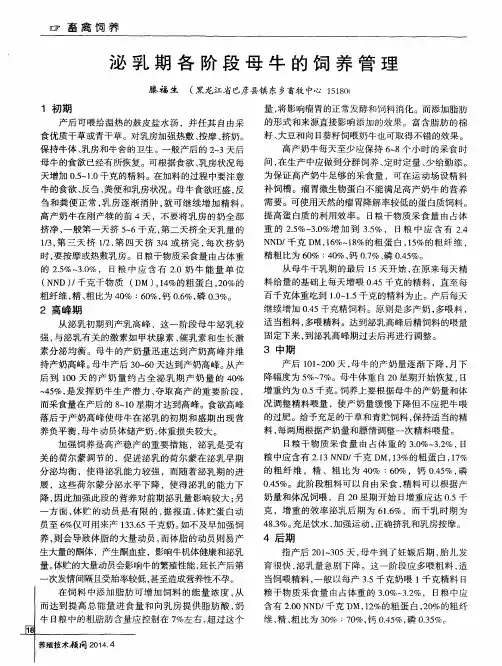 泌乳期各阶段母牛的饲养管理