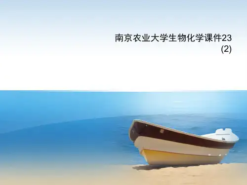 南京农业大学生物化学课件23 (2)