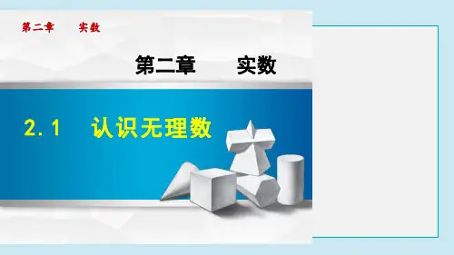 认识无理数PPT授课课件