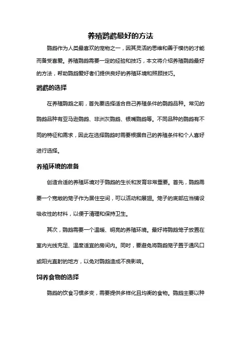 养殖鹦鹉最好的方法