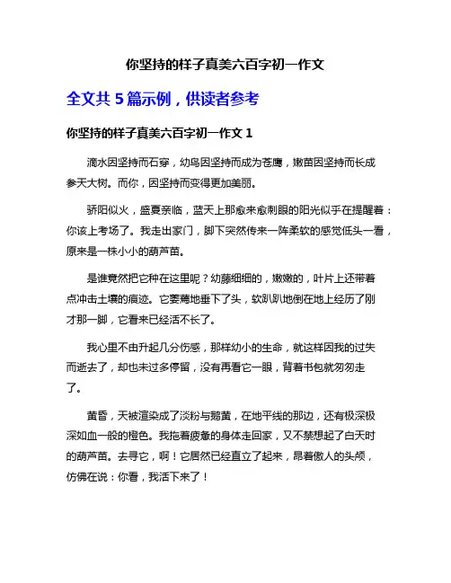 你坚持的样子真美六百字初一作文