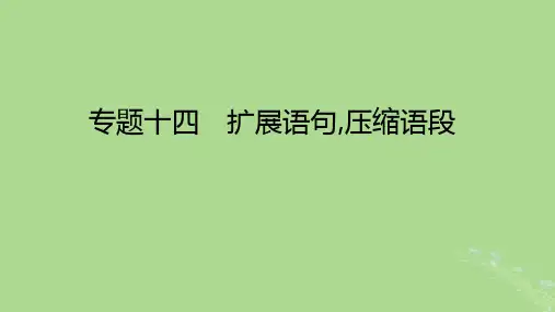 高考语文一轮总复习专题十四扩展语句压缩语段课件