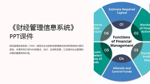 《财经管理信息系统》课件