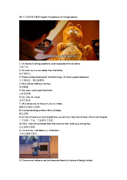 30个习语的英文翻译