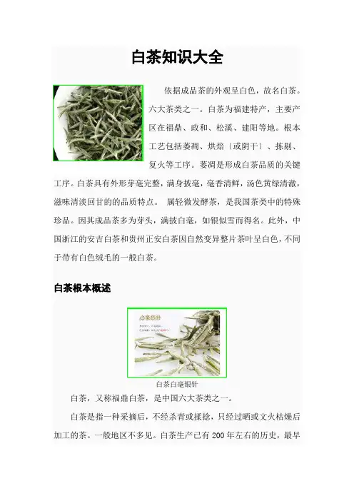 白茶知识大全
