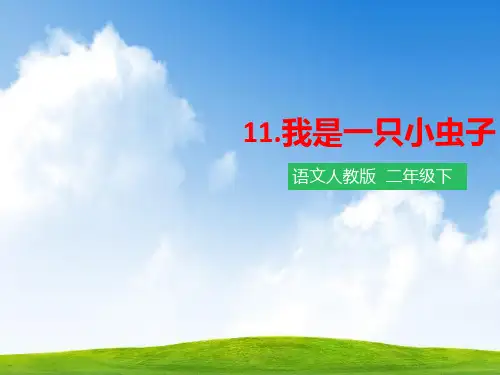 人教版部编版二年级语文下册第十一课 我是一只小虫子(课件)课件