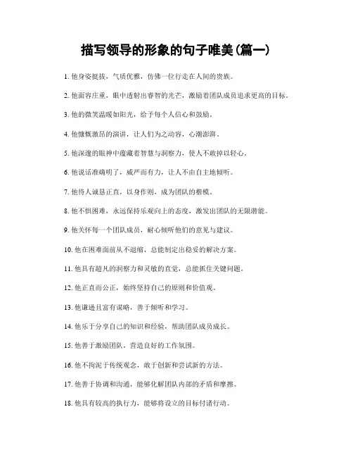 描写领导的形象的句子唯美(精选2篇)