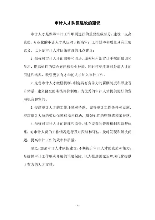 审计人才队伍建设的建议