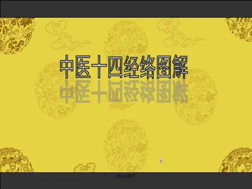 中医十四经络图解学习资料演示课件.ppt