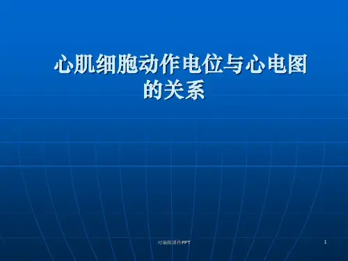 心肌细胞动作电位与心电图的关系ppt课件