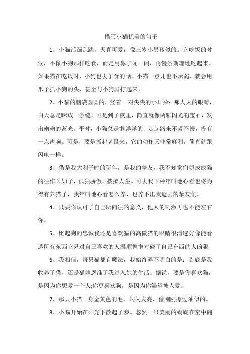 描写小猫优美的句子
