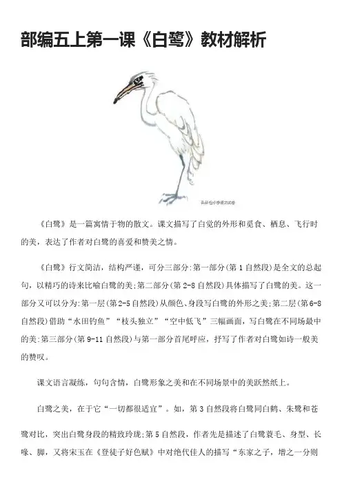 部编五上第一课《白鹭》教材解析