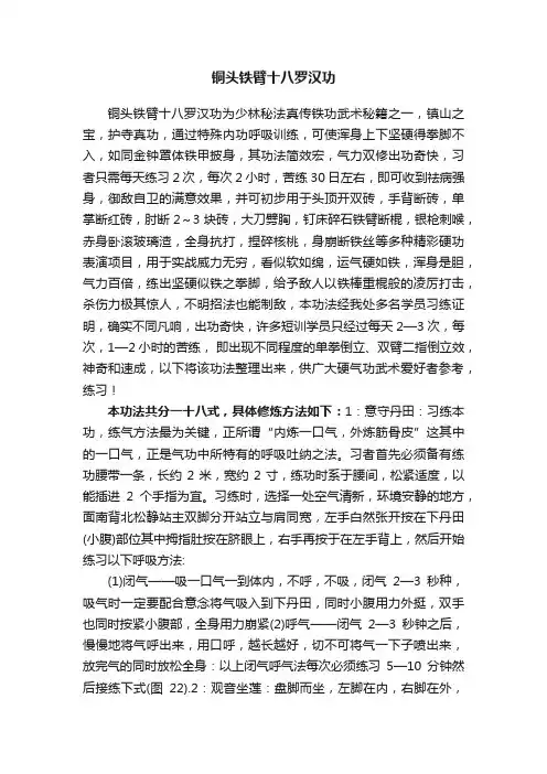 铜头铁臂十八罗汉功