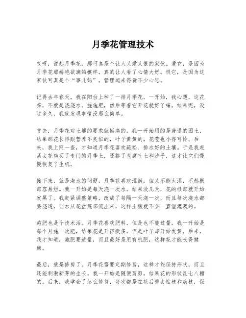 月季花管理技术