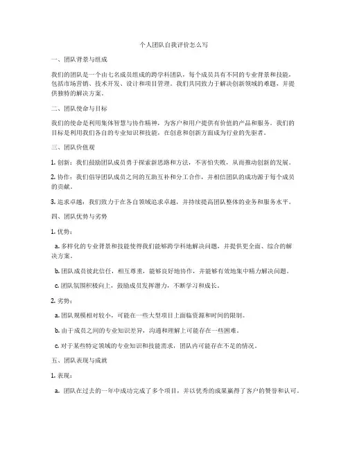 个人团队自我评价怎么写