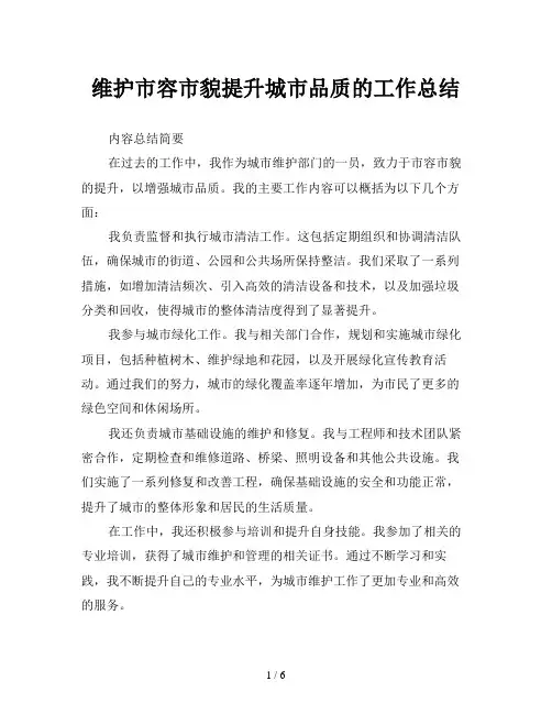 维护市容市貌提升城市品质的工作总结